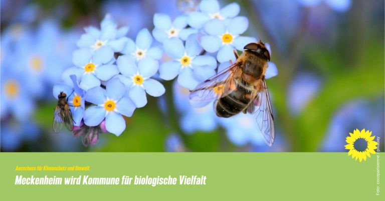 Meckenheim wird Kommune für biologische Vielfalt